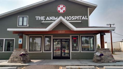 The animal hospital - American Animal Hospital Association 14142 Denver West Pkwy., Ste 245, Lakewood, CO 80401 mail_outline [email protected]